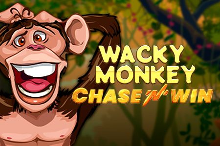 Wacky Monkey - Chase'N'Win